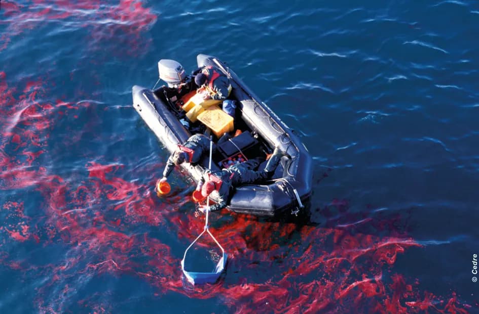 Maritime chemical pollution